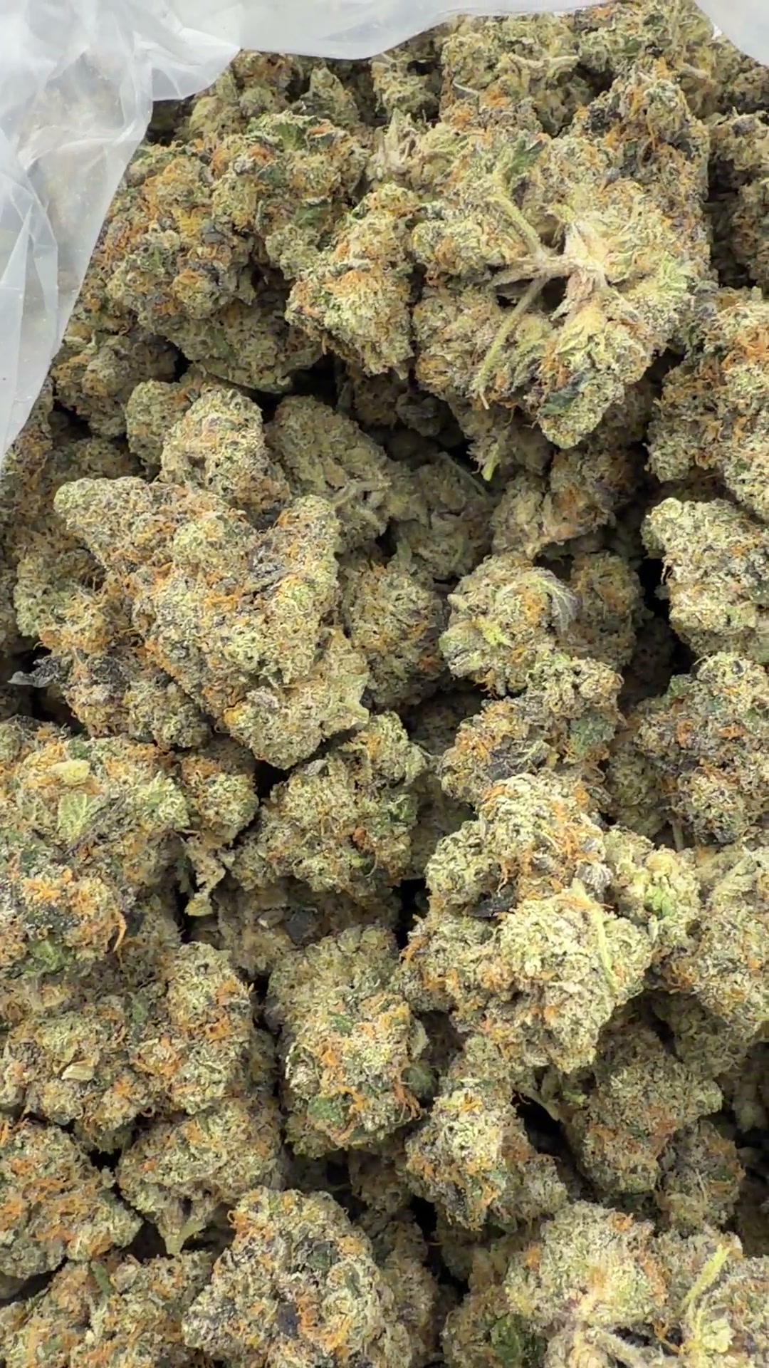 Product visual for Carbon Kush