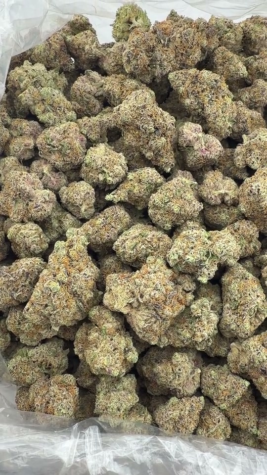 Product visual for Whitewalker OG